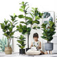 Artificial Indoor Qin Yerong Tree Set Premium 4X 120cm Green Fake Plant Simulation Decorative