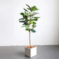 Artificial Indoor Qin Yerong Tree Set Premium 4X 120cm Green Fake Plant Simulation Decorative