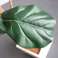 Artificial Indoor Qin Yerong Tree Set Premium 4X 120cm Green Fake Plant Simulation Decorative
