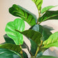 Artificial Indoor Qin Yerong Tree Set Premium 4X 120cm Green Fake Plant Simulation Decorative