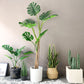 Artificial Indoor Turtle Back Tree Set Premium 4X 160cm Green Fake Fern Plant Decorative