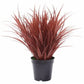 Artificial Ornamental Potted Dense Burgundy Grass UV