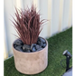 Artificial Ornamental Potted Dense Burgundy Grass UV