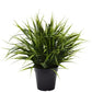 Artificial Ornamental Potted Dense Green Grass UV Resistant