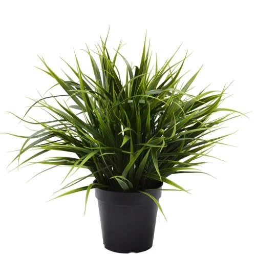 Artificial Ornamental Potted Dense Green Grass UV Resistant