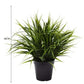 Artificial Ornamental Potted Dense Green Grass UV Resistant