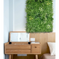 Artificial Plant Wall 1 SQM Grass Panels Vertical Garden
