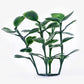 Artificial Plant Wall 12x Grass Panels Vertical Garden Tile
