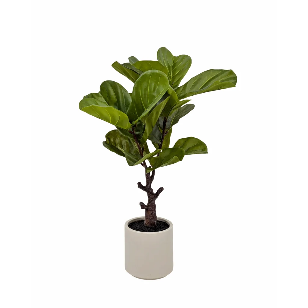Artificial Real Touch Fiddleleaf Tree 75cm - Home & Garden