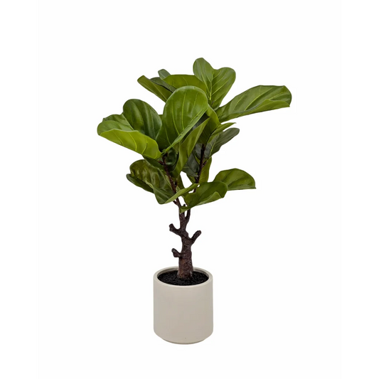 Artificial Real Touch Fiddleleaf Tree 75cm - Home & Garden
