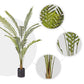 Artificial Rogue Hares Foot Fern Tree 2X 240cm Green Fake Tropical Indoor Plant Home Office Decor