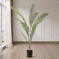 Artificial Rogue Hares Foot Fern Tree 4X 210cm Green Fake Tropical Indoor Plant Home Office Decor