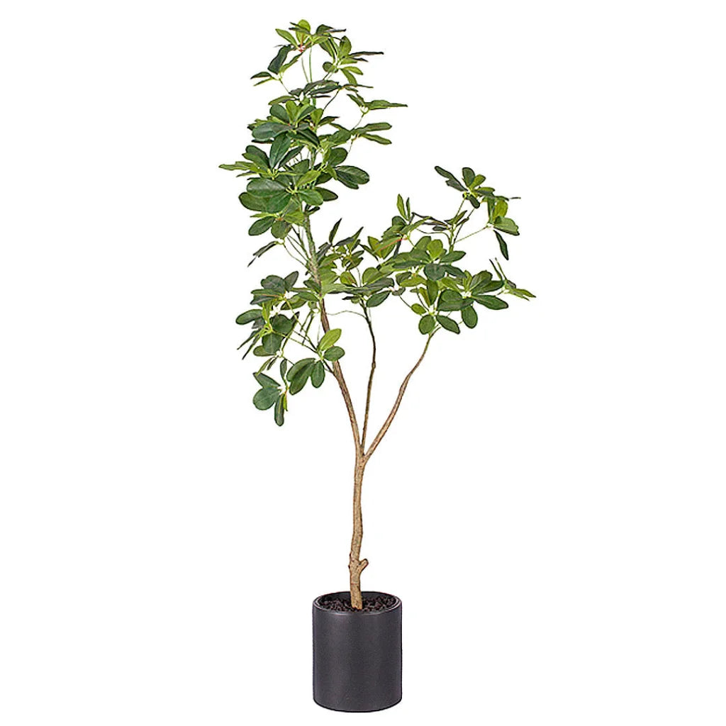 Artificial Schefflera Dwarf Umbrella Tree 160cm Natural Green Fake Tropical Indoor Plant Home Office Decor