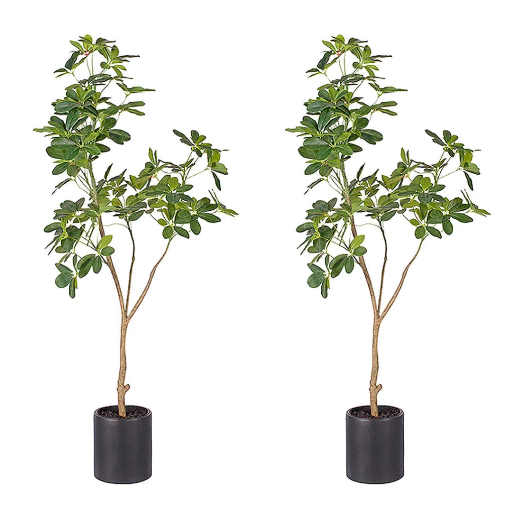 Artificial Schefflera Dwarf Umbrella Tree 2X 160cm Natural Green Fake Tropical Indoor Plant Home Office Decor