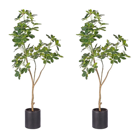 Artificial Schefflera Dwarf Umbrella Tree 2X 160cm Natural Green Fake Tropical Indoor Plant Home Office Decor