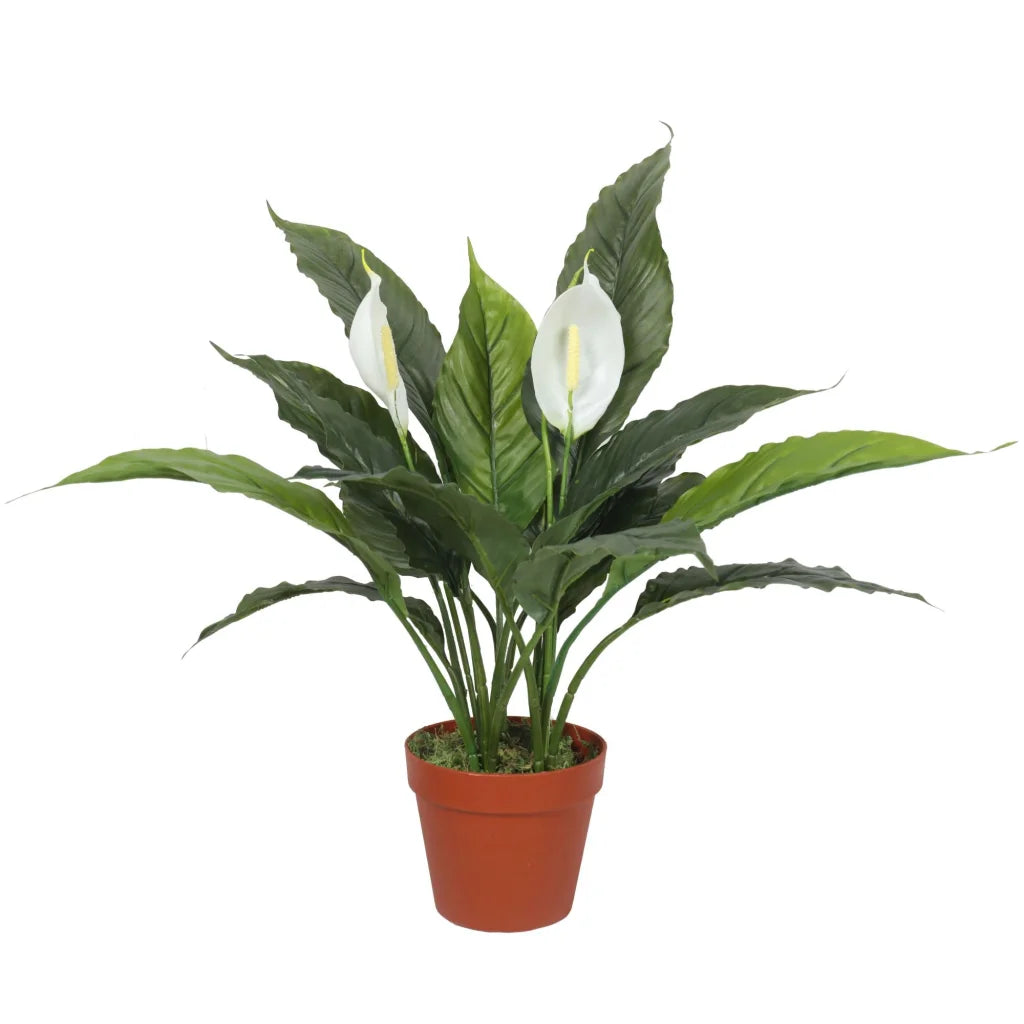 Artificial Spathiphyllum Peace Lily Plant with White