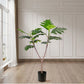 Artificial Split-Leaf Philodendron Tree 2X 90cm Natural Green Fake Tropical Indoor Plant Home Office Decor