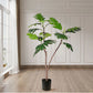 Artificial Split-Leaf Philodendron Tree 4X 120cm Natural Green Fake Tropical Indoor Plant Home Office Decor
