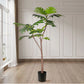 Artificial Split-Leaf Philodendron Tree 4X 150cm Natural Green Fake Tropical Indoor Plant Home Office Decor