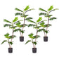 Artificial Split-Leaf Philodendron Tree 4X 90cm 2-Trunk Natural Green Fake Tropical Indoor Plant Home Office Decor