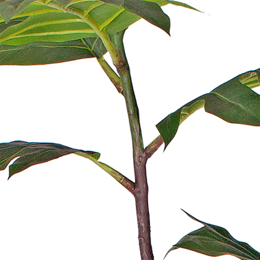 Artificial Split-Leaf Philodendron Tree 90cm 2-Trunk Natural Green Fake Tropical Indoor Plant Home Office Decor