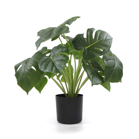 Artificial Split Philodendron Plant Potted Dense with Real