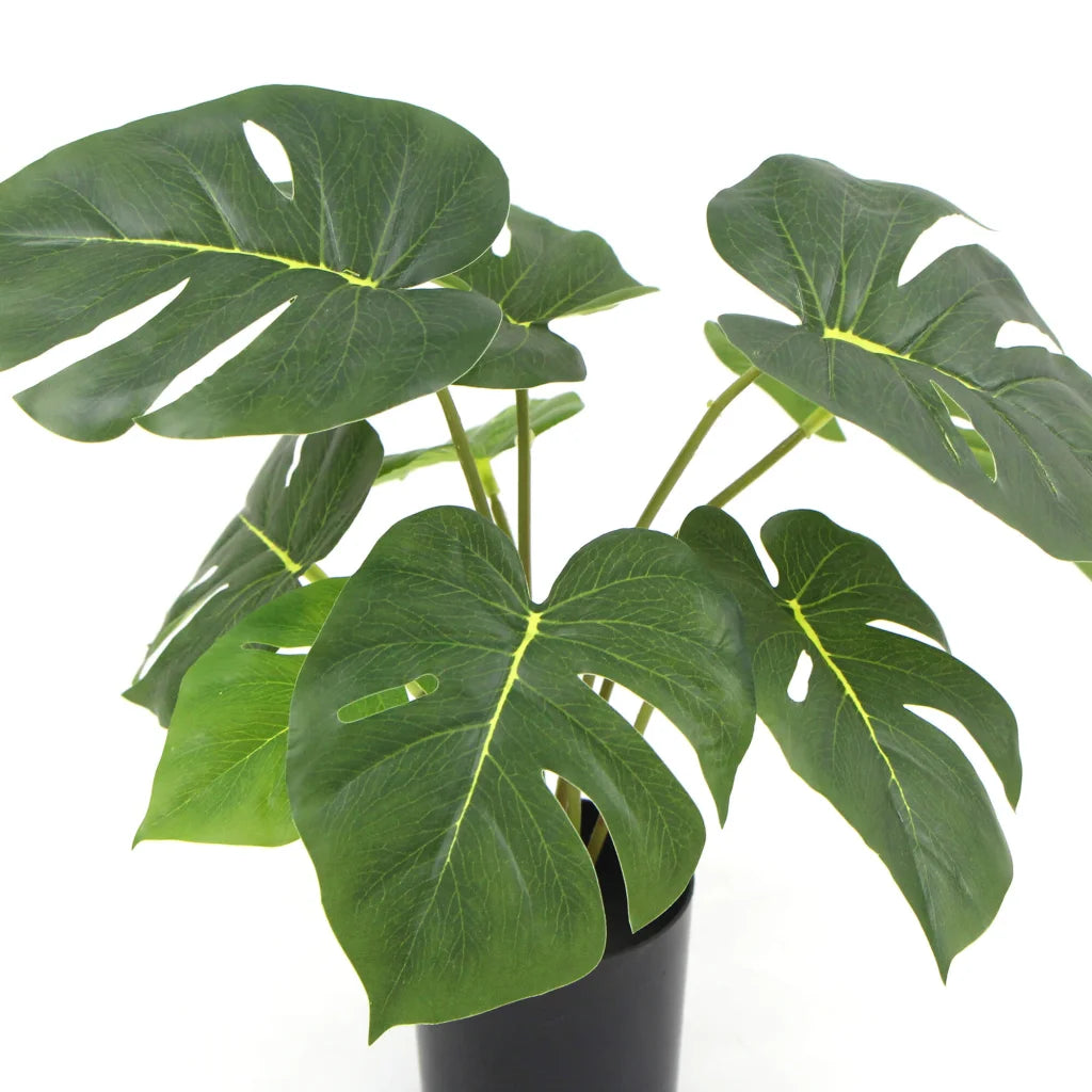 Artificial Split Philodendron Plant Potted with Real Touch