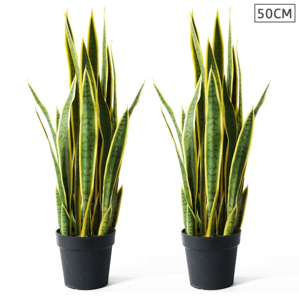 Artificial Tiger Piran Tree Set Premium 2X 50cm Indoor Yellow Edge Fake Decoration with Flower Pot
