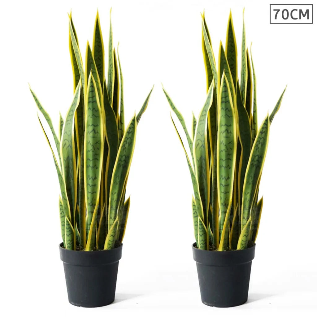 Artificial Tiger Piran Tree Set Premium 2X 70cm Indoor Yellow Edge Fake Decoration with Flower Pot