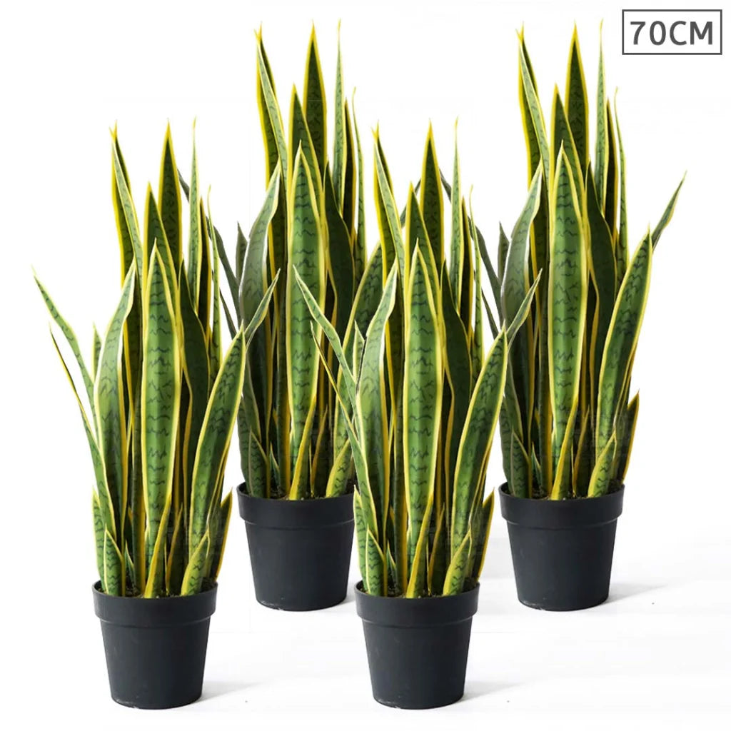 Artificial Tiger Piran Tree Set Premium 4X 70cm Indoor Yellow Edge Fake Decoration with Flower Pot