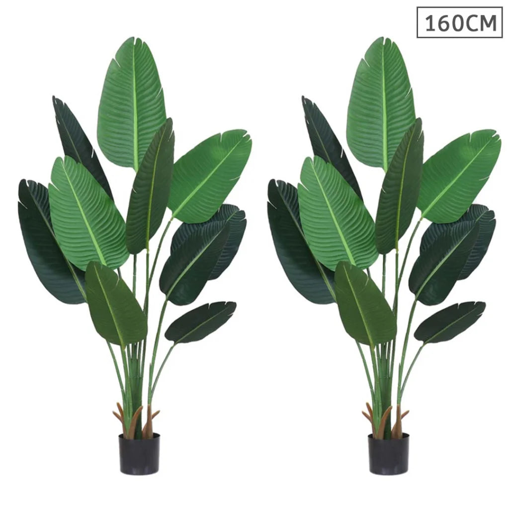 Artificial Traveler Banana Tree Set Premium 2X 160cm Green Indoor Fake Decoration with Flower Pot