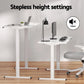 Artiss 120cm Electric Standing Desk with Mini Peal Exercise