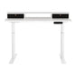 Artiss Electric Standing Desk with Storage Rack Shelf
