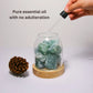 Aurora Crystal Diffuser Green Calcite appliances 913