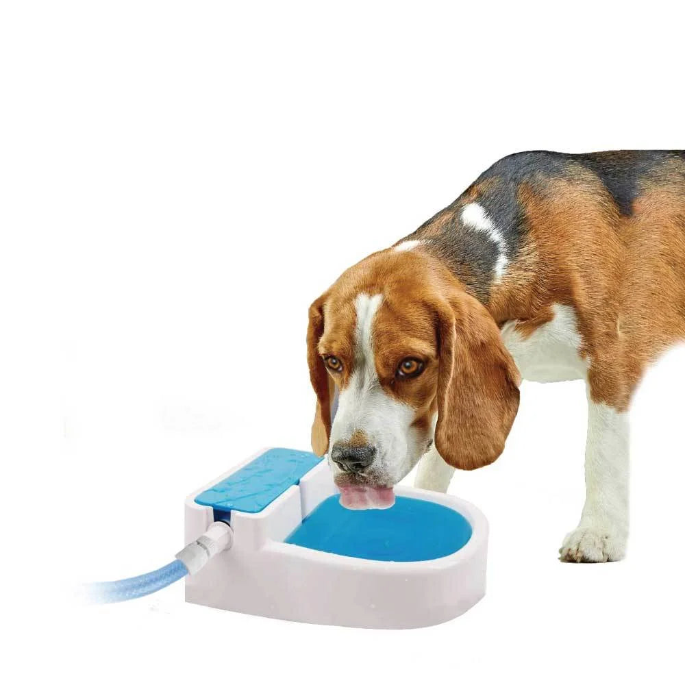 Auto Filling Dog Drinking Water Fountain outdoor automatic pet