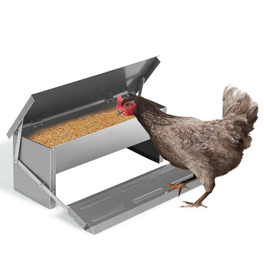 5kg 7 automatic chicken feeder with farm food storage box