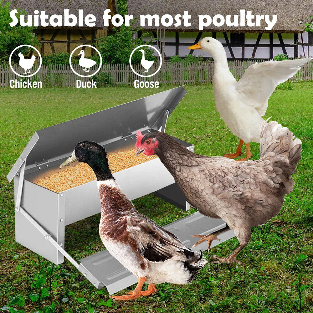 Automatic chicken feeder with 5l farm food storage