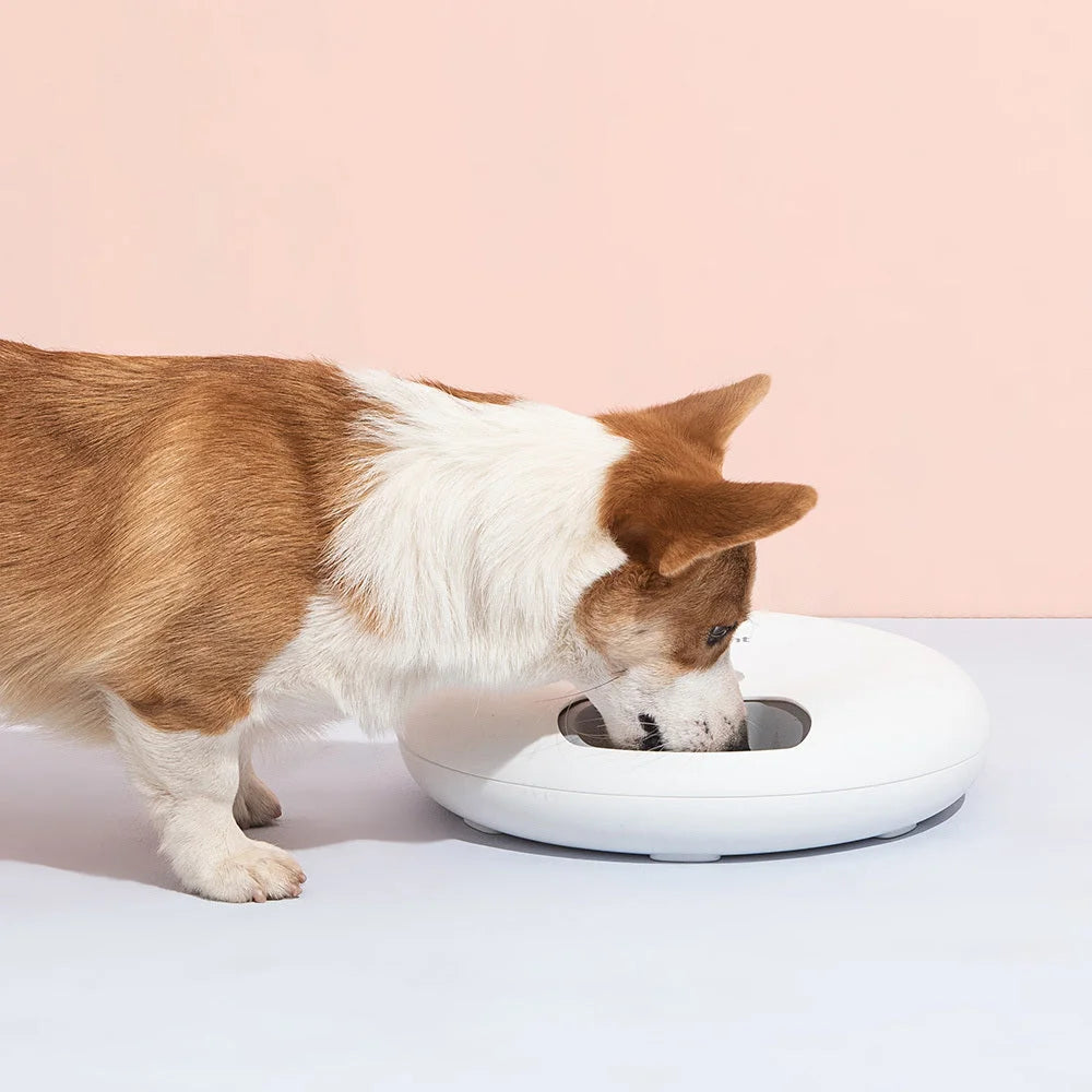 Automatic Pet Feeder 6 Meal Dog Cat Food Dispenser