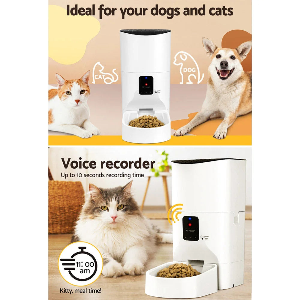 Automatic pet feeder with boxed accessories and matching pieces