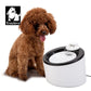 Automatic Water Dispenser - WD T1
