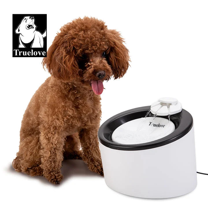 Automatic Water Dispenser - WD T1