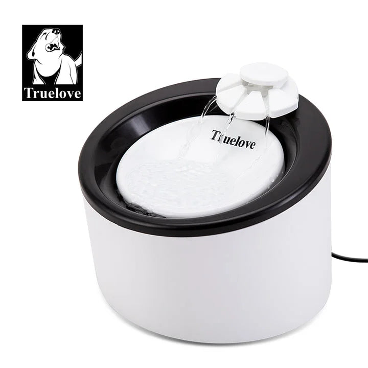 Automatic Water Dispenser - WD T1
