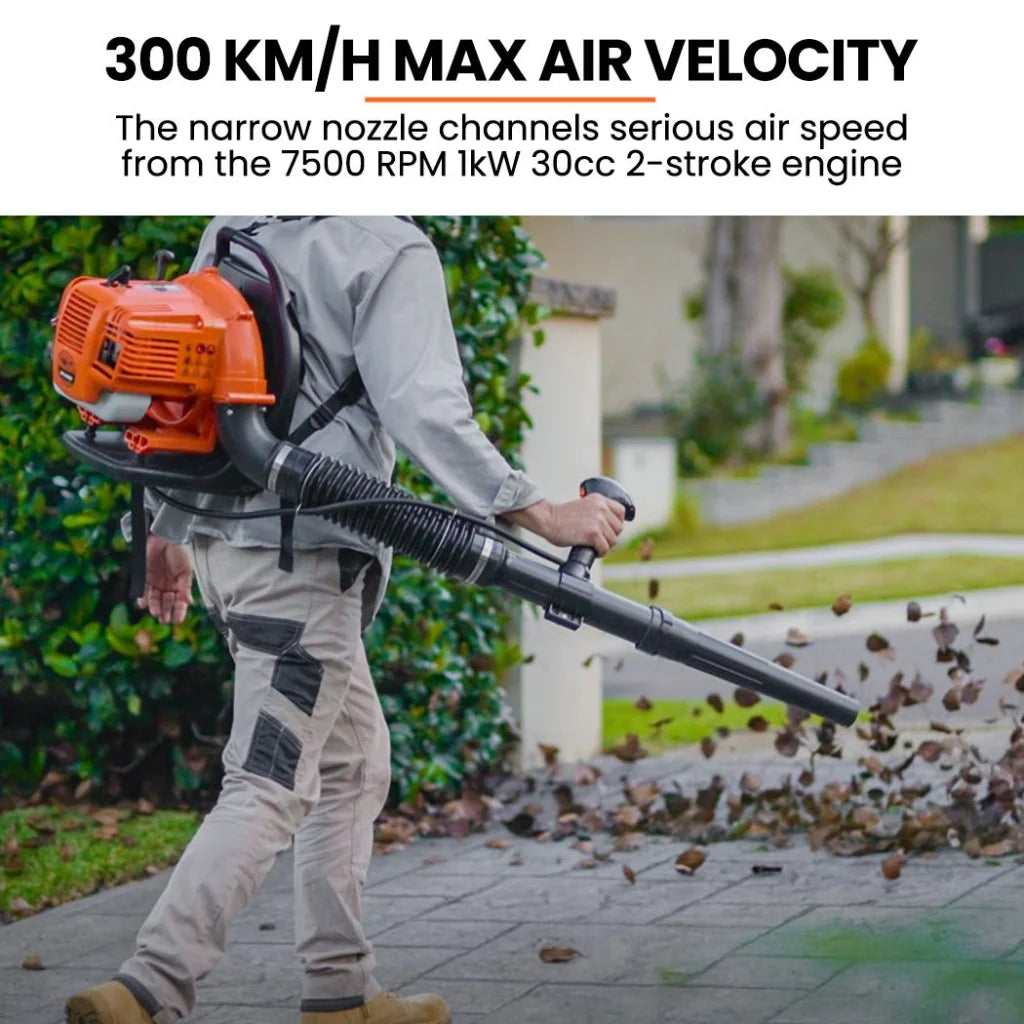 Backpack Petrol Leaf Blower 30CC Yard Garden Commercial
