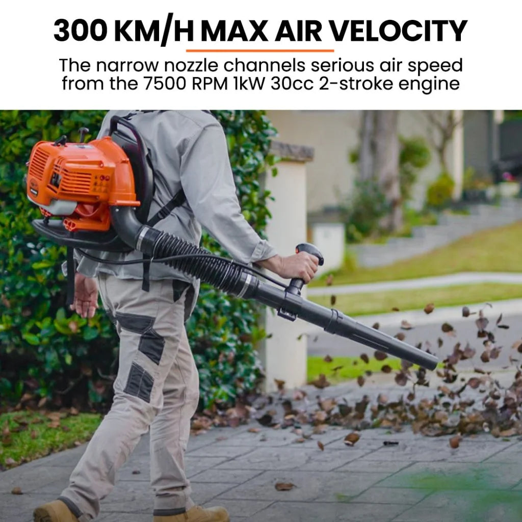 Backpack Petrol Leaf Blower MTM 30CC 2-Stroke Commercial
