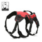 Backpack - Red (L)