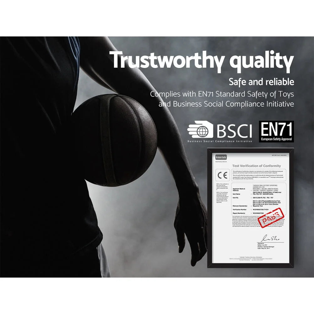 Basketball Hoop Stand System 3.05M Adjustable Height