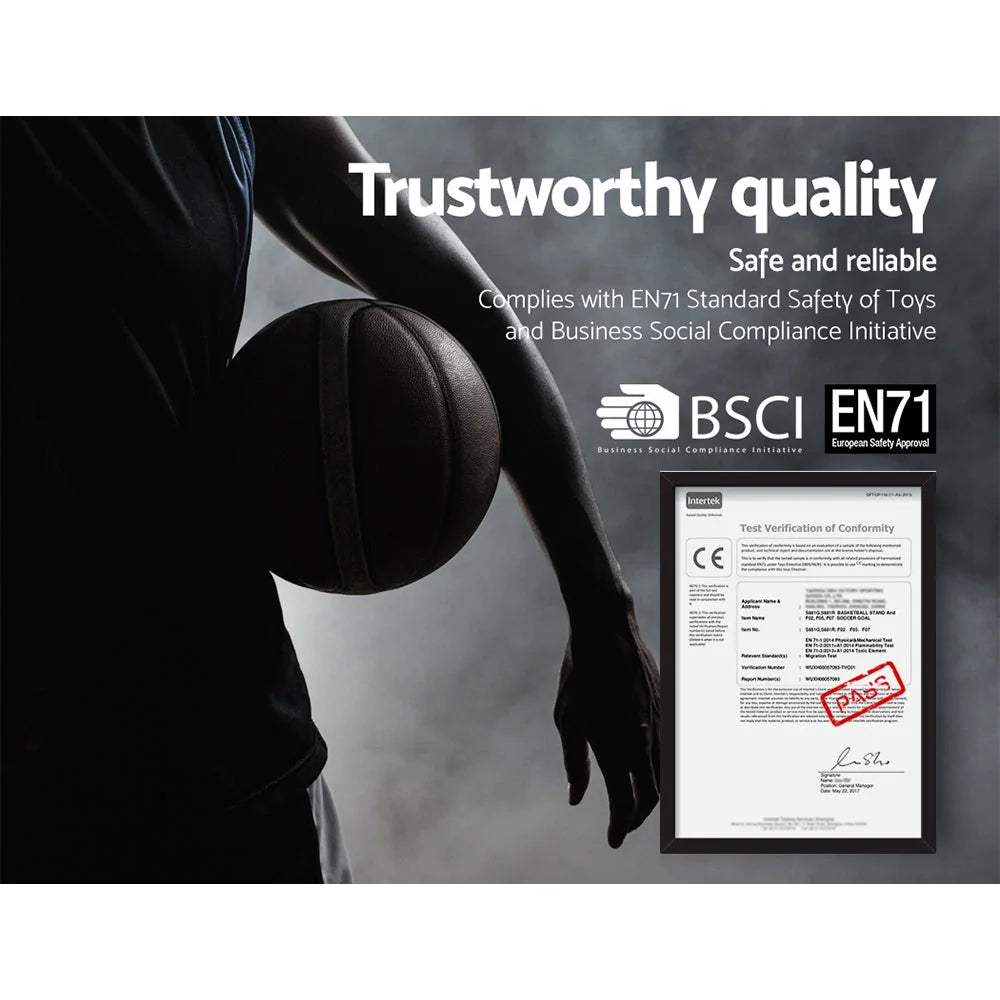 Basketball Hoop Stand System 3.05M Adjustable Height