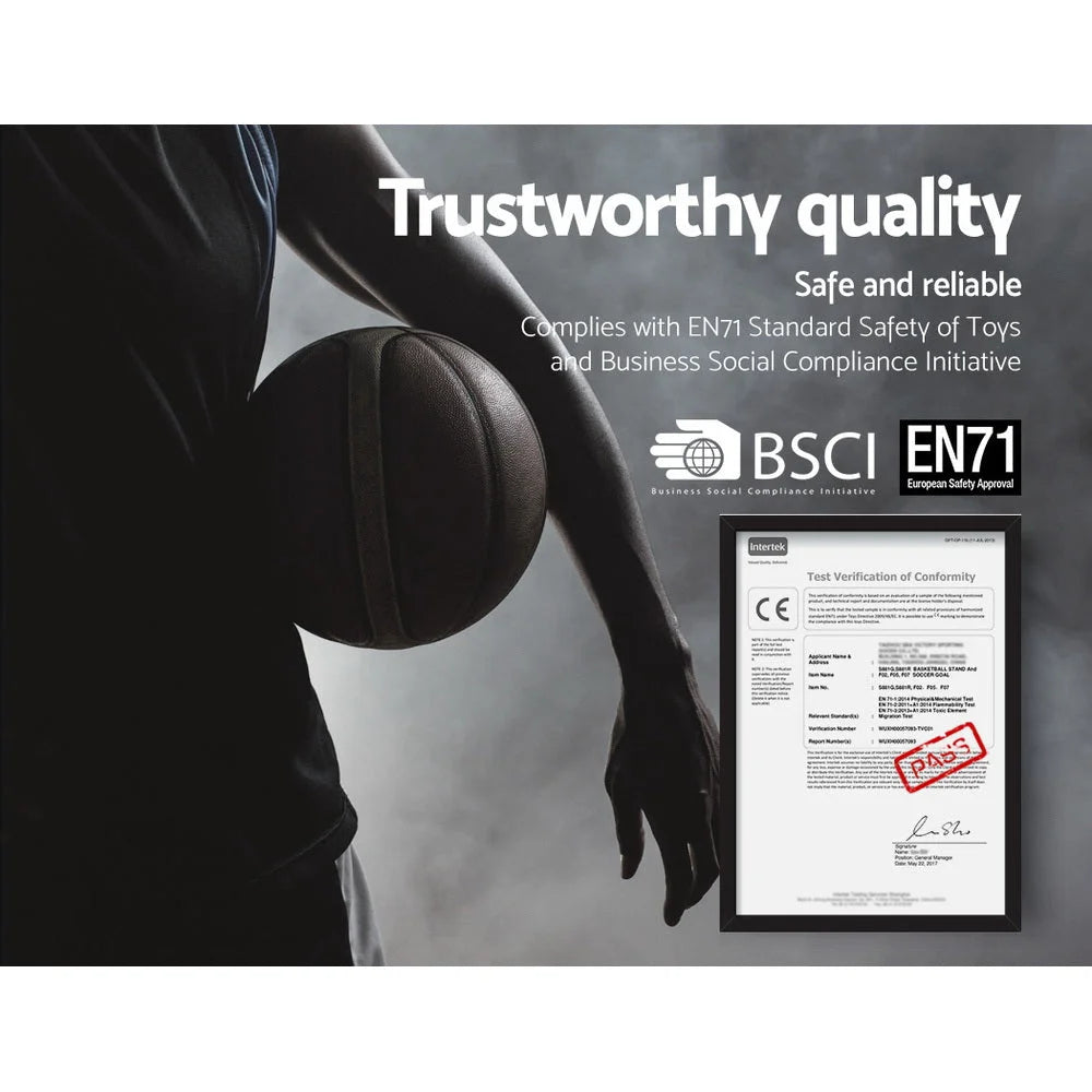 Basketball Hoop Stand System Ring 3.05M Portable Net Height