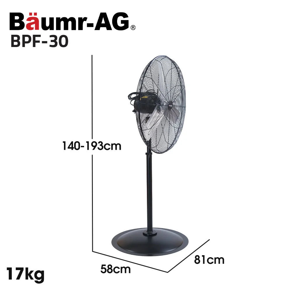 BAUMR AG 30 762mm 300W Industrial
