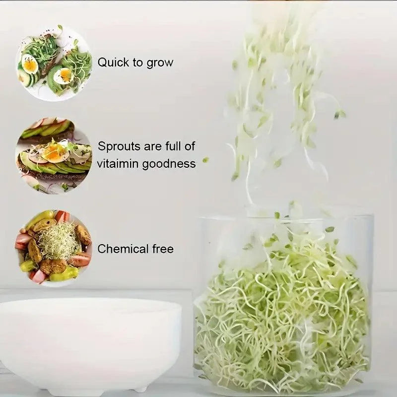 Bean Sprout Growing Machine Automatic Sprouting Pot Plant